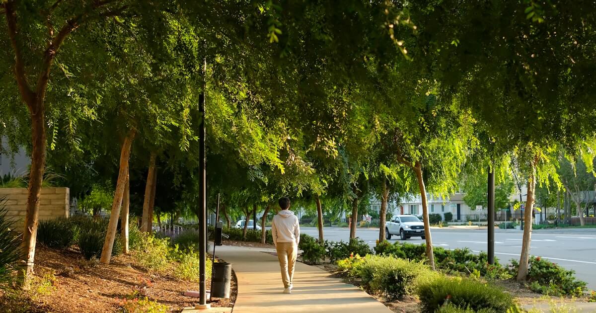Japanese Walking Method: The 3-3 Interval BPM Guide