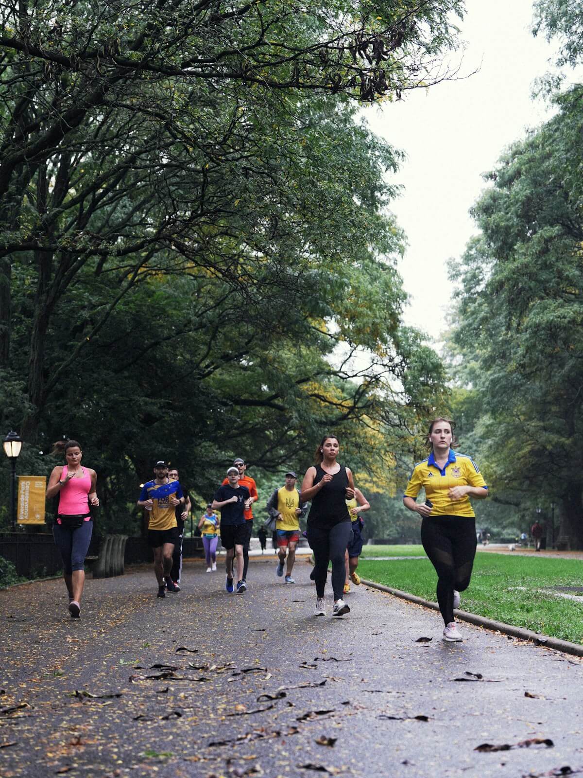 Parkrun BPM Pacing: The Music Strategy for a 5K PB